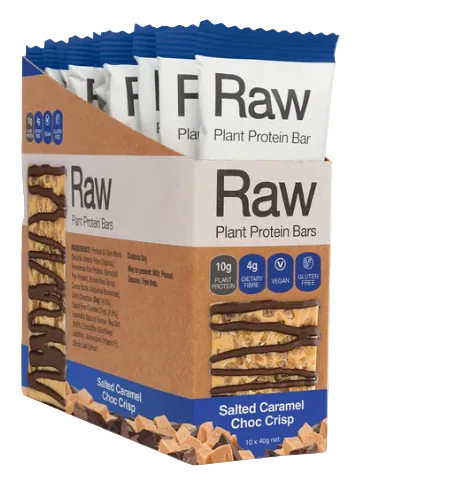 Raw Plant Protein Bars