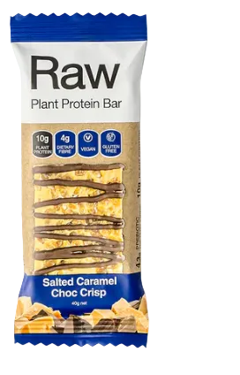 Raw Plant Protein Bars