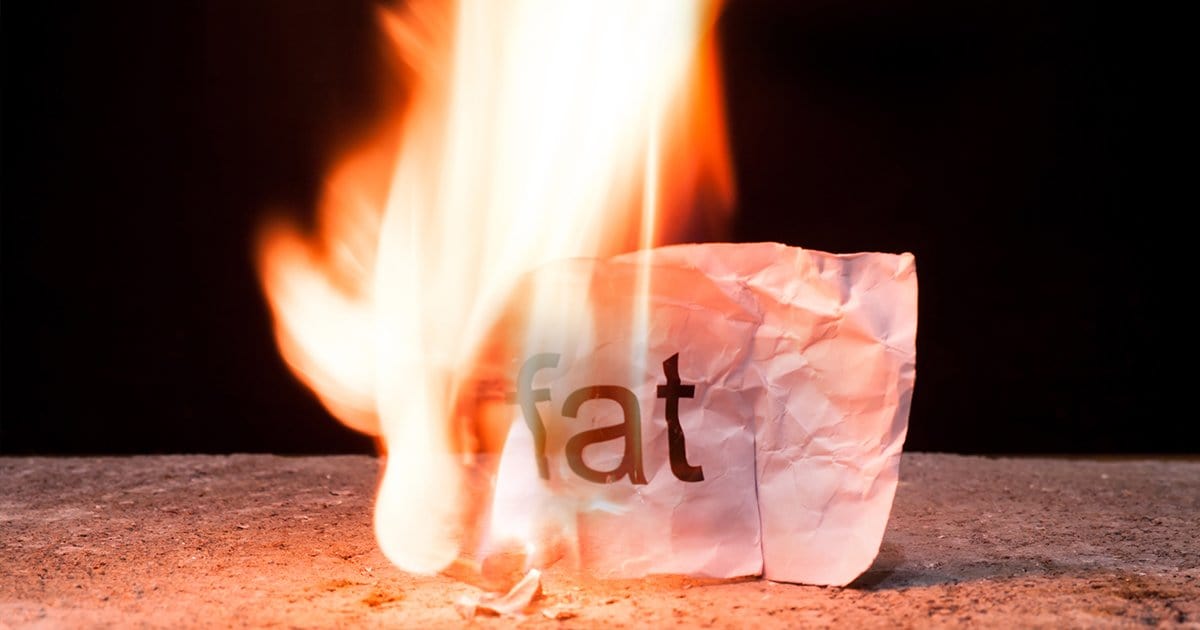 The Important Ingredients To Look For In A Quality Fat Burner