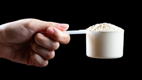 What is Whey Protein Made Of? Isolate vs Concentrate vs Hydrolysate