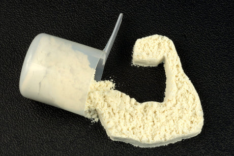 Which is More Effective? Plant vs. Animal Protein to Build Muscle