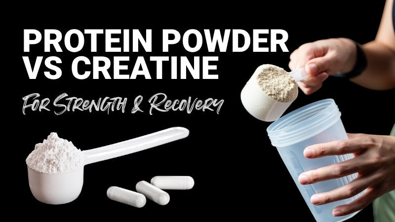 Protein Powder vs Creatine: Which Is Better for Strength and Recovery?