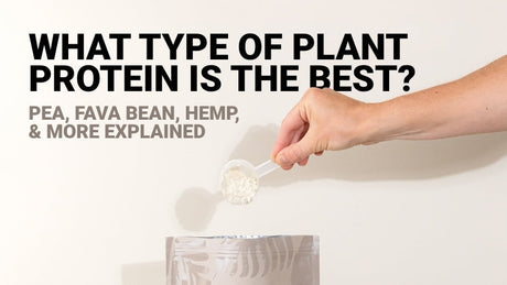 A person taking a scoop of protein powder out of the bag with text "what type of plant protein is the best" added behind