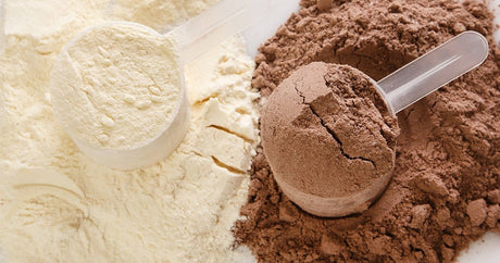Two plastic scoops in protein powder. One filled with white powder and the other one with brown powder. 