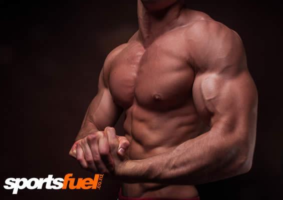 Upper body of a muscular build man