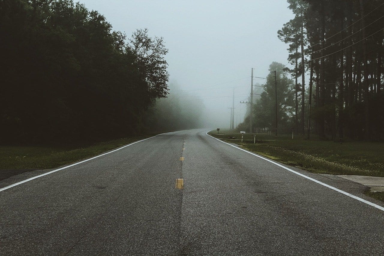 Empty street through the woods