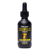 Life Cykel Chaga Mushroom Double Extract 60ml