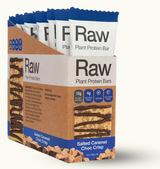 Raw Plant Protein Bars