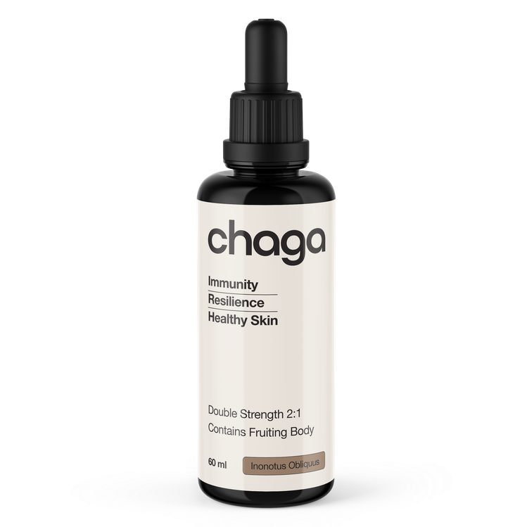 Chaga supplement bottle with dropper on a white background
